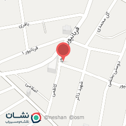 عکس غذای خانگی اورهان اوستا