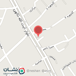 عکس پیتزا رابو