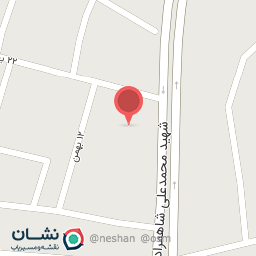 عکس کاربراتوری رضا