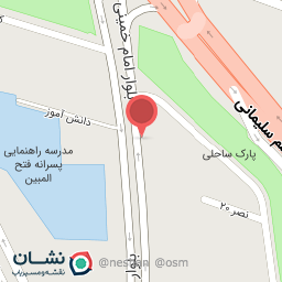 عکس سبزی خرد کنی طراوت