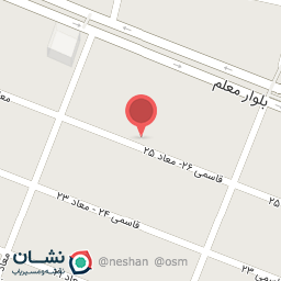 عکس دکتر مینا شمس زاده