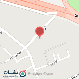 عکس مکانیکی برادران