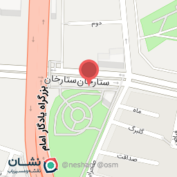 عکس فروشگاه بزرگ اسباب بازی و پولیشی دیزنی تویز