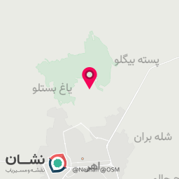 عکس باشگاه ورزشی المهدی