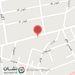 عکس تهیه غذای رایکا