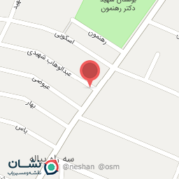 عکس مشاور جنتلمن