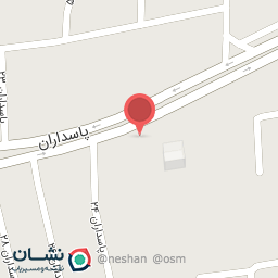 عکس برگر ذغالی سعید 