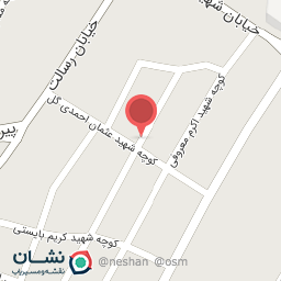 عکس الکتریکی برین