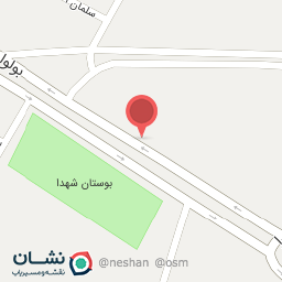 عکس دکتر فروغ جمشید شیرازی