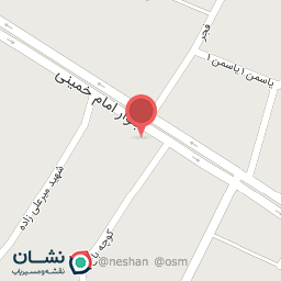 عکس دکتر علی نمازی شندی