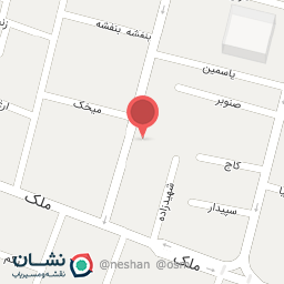 عکس دکتر مریم امین