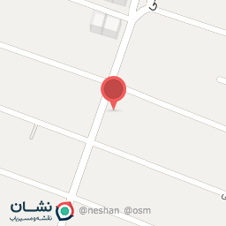 عکس پیتزا بست فود