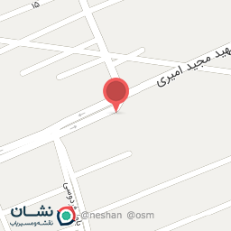 عکس الکتریکی رادین