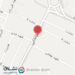 عکس دزدگیر نت