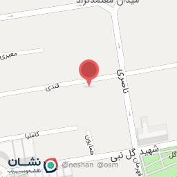 عکس پردیس رادان