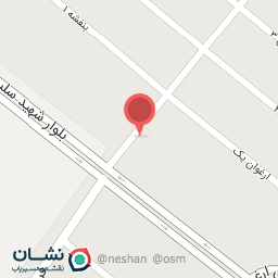 عکس دی پی نت