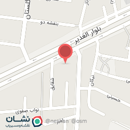 عکس آسانسوروپله برقی آریانا