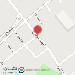 عکس زیبایی نسرین سعیدی 