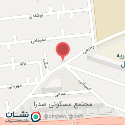 عکس خودپرداز