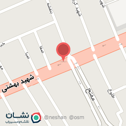 عکس پیتزا ونیز