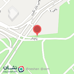 عکس گل فروشی رز