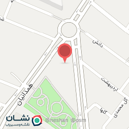 عکس باشگاه شاهین