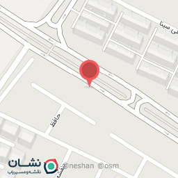 عکس غذای ناب