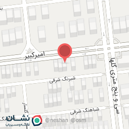 عکس نان فانتزی گامبا