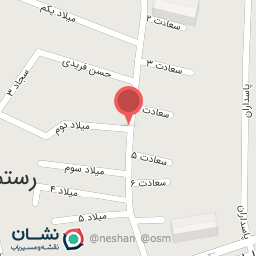 عکس الکتریکی نقدی نیا