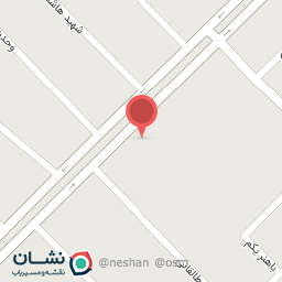 عکس پیتزا گپ