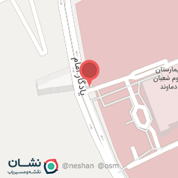 عکس آژانس‌ چلسی