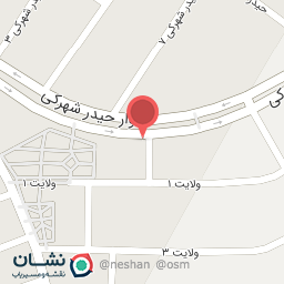 عکس تعویض روغنی آریا