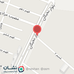 عکس مستر پولیش