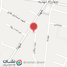 عکس دکتر ناصر حکمی 