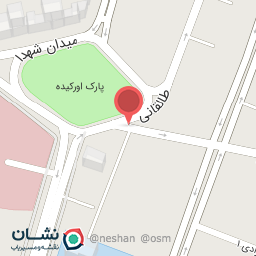 عکس پیتزا پارسا