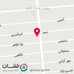 عکس کیف سعید
