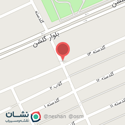 عکس الکتریکی علیرضا