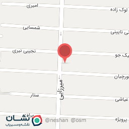 عکس پیتزا اوازه