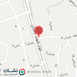 عکس کیف کفش سورنا