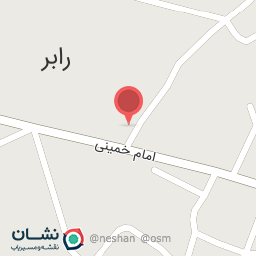 عکس پیتزا حضور