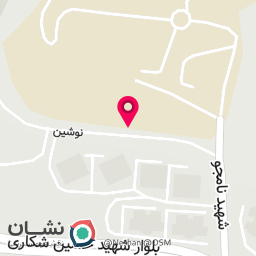 عکس افسانه بختیاری متخصص پودولوژی