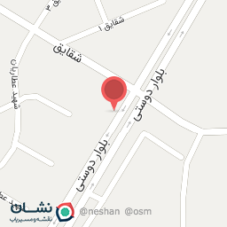 عکس گوشت و مرغ صادقی