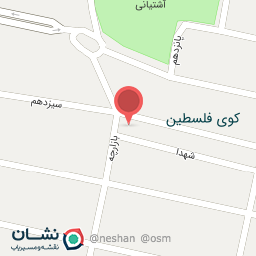 عکس قصابی امیر مسعودی