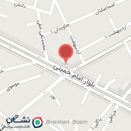 عکس پیتزا شکوفه