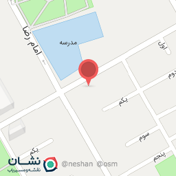 عکس پیتزا پانیذ