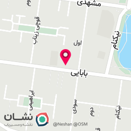 عکس مرکز تخصصی ناخن عسل نجفی سبک روسی