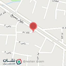 عکس تعمیرات تخصصی پژو حسین