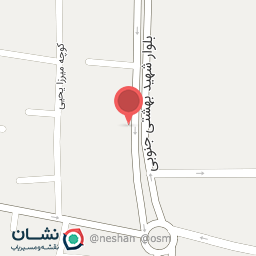 عکس فلافل کاکتوس