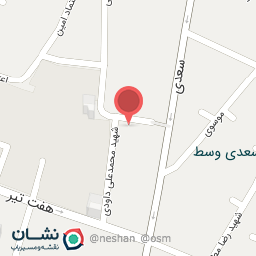 عکس دکتر سید رامین محمدی متخصص داخلی نفرولوژیست