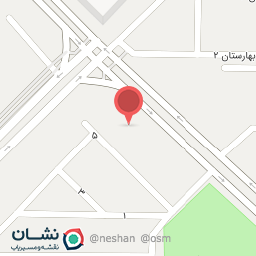 عکس پیتزا و غذای آماده پراو